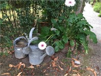 3 GALVANISED WILLOW WATERING CANS