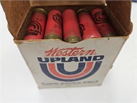 25 RDS Gun Ammo  16ga