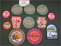 12 Iron-On Patches