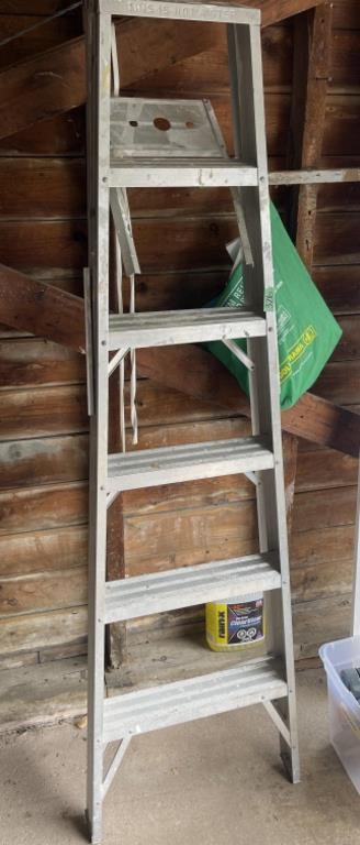 5 Step ladder