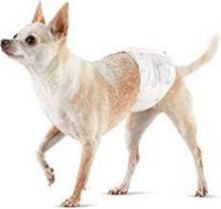 Basics Male Dog Wrap, Disposable Diapers, X-Small