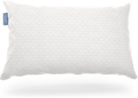 Used $131  Memory Foam Pillow, Queen (Pack of 1)