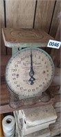OLD KENTUCKY HOME SCALE