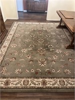 Como 9’10” by 12’10” Sage Area Rug from Italy