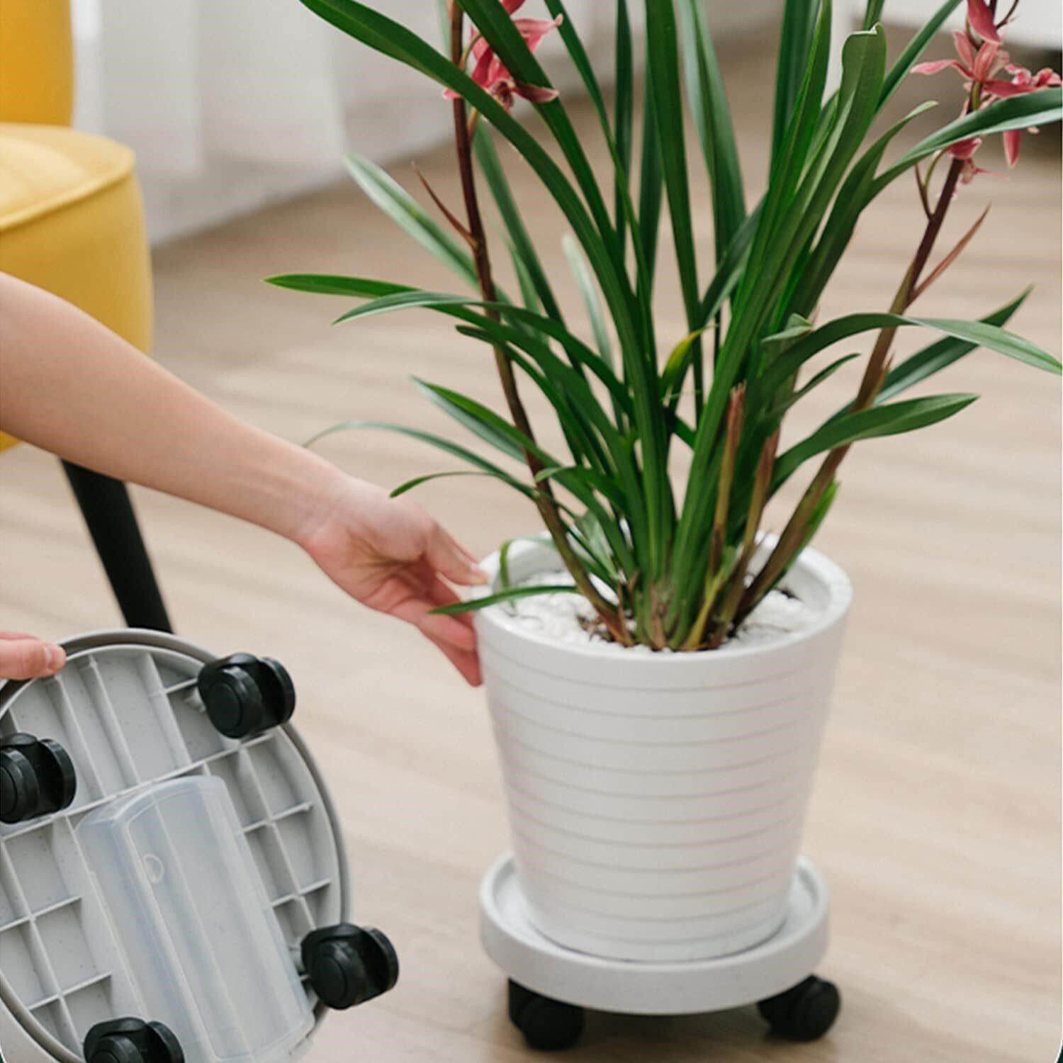 3 pack Plant Caddy with Wheels