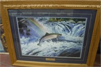 Trout Picture w/ Frame