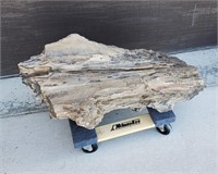 Large 30" Petrified Wood Tree Stump