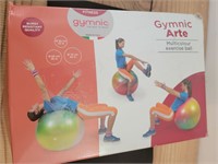 Gymnic Multicolor Excercise Ball