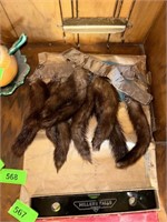 LOT OF MINK TAILS W ORIGINAL ENVELOPE FROM NYC