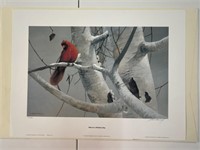 “Red on a Winters Day” by Mario Fernandez