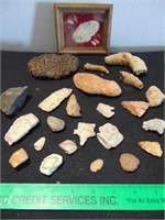 Rocks & Artifacts