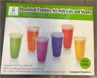 6 Piece Insulated Tumbler Set with Lids and Straws