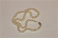 14kt white gold Pearl Necklace with 6.5mm round