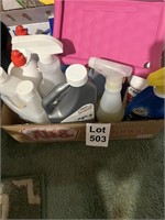 Miscellaneous Cleaning Lot
