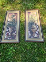 Lot of 2 framed Strickland flower Plants