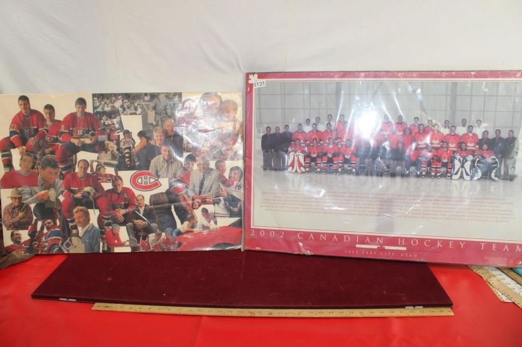 Montrael Canadians Collage & Team Canada Placard