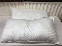King Size Pillows (2)