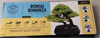 Bonzai tree growing kit
