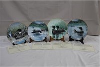 Four loon collector plates by Bradford Exchange