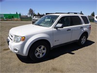 2009 Ford Escape SUV