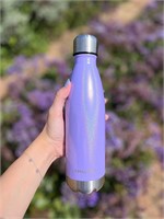 Stainless Steel Water Bottle: 17 oz