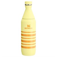 Stanley 20 oz Stainless Steel All Day Bottle