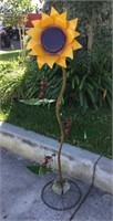 Large Sunflower w/ Ants