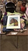 Clothes, horse pictures