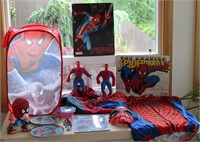 Spider Man Items Lot