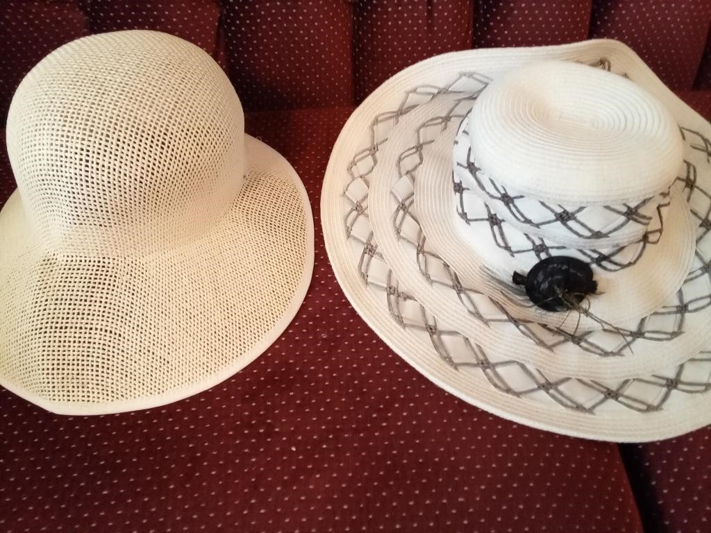 2 Ladies Hats