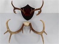 Antlers (2 sets)