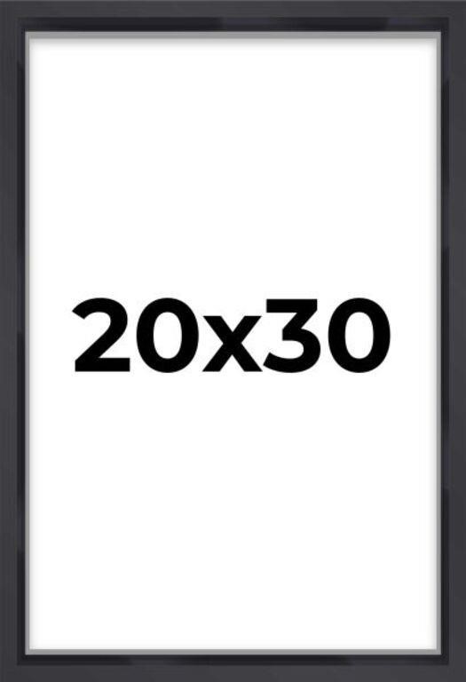 30"x20" Wall Picture Frame, Black