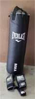 Everlast MMA Punching Bag & Gloves