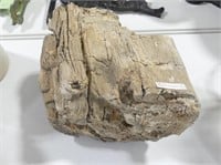 CHUNK OF FOSSILIZED WOOD