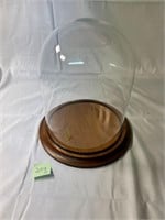 Large Glass Cloche Dome Display