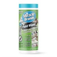 Miracle  Wipes Spearmint Scent Paint Wipes