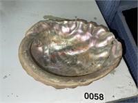 Approx 6in Sea Shell (Living Room)