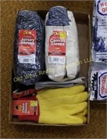 Box of Gloves (#831)