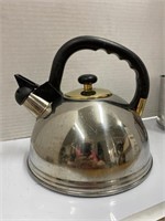 Stainless Teapot