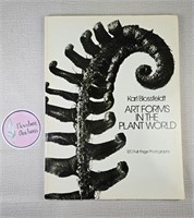 Art Forms in the Plant World Paperback Book