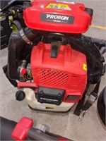 Prorun Gas Backpack Blower PBB2884