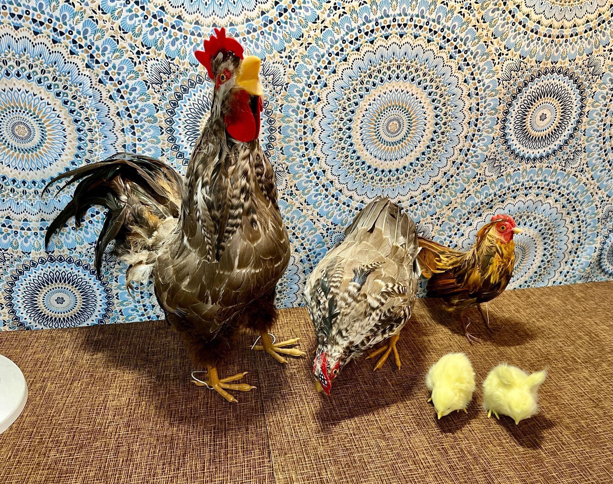 Faux Rooster, Chicken, and Chicks Decor Lot - 5