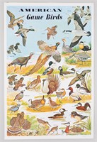 AMERICAN GAME BIRDS POSTER 1964