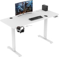 55x24inch Adjustable Desk Stand up Desk Electric