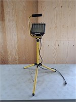 Portable fixed light source