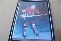 Dennis Hull Autographed Picture