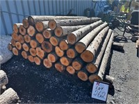 (43) Cedar Fence Posts 8ft x 6"diam