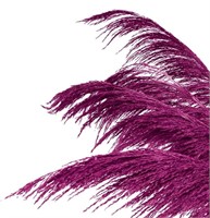 PURPLE RED PAMPAS GRASS DECOR TALL,6PCS 43.3IN