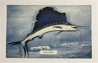 Vintage PPC Postcard Sailfish!