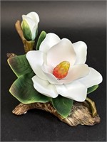 Paul Sebastian Fine Porcelain White Magnolia
